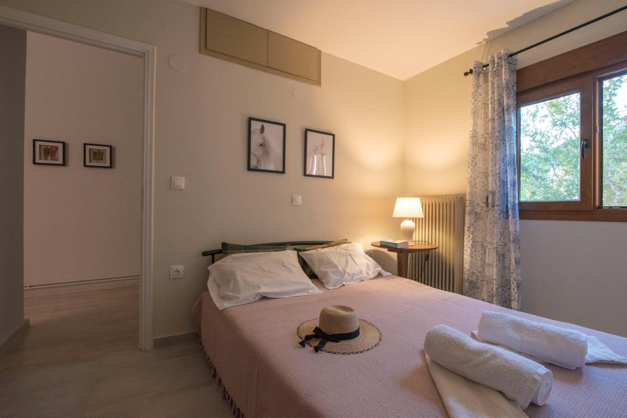 Kerasia'S Country House Apartman Vólosz Kültér fotó